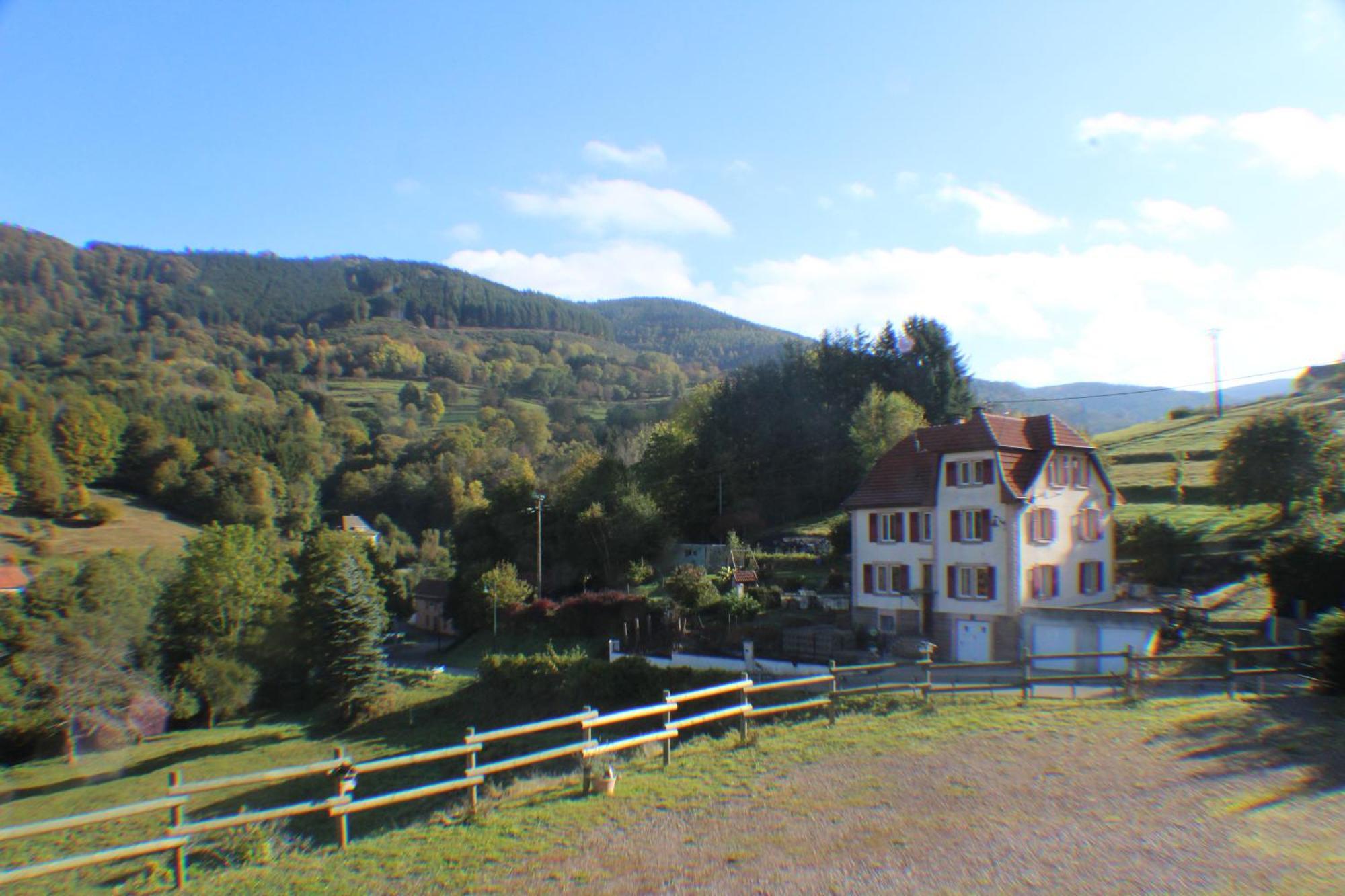 Villa Domaine De La Charriere Sur 63 Ares - 8 Pers Grand Confort Neuviller Exterior foto